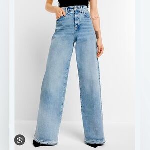 Express Relaxed Wide Leg